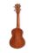 Укулеле Alfabeto MAHOGANY USM21 Укулеле Alfabeto MAHOGANY USM21