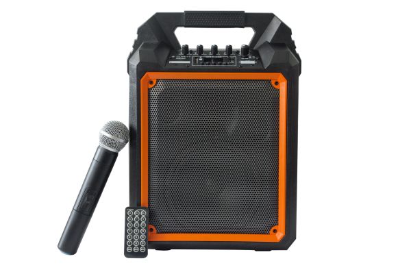 Clarity MAX6W акустична система з акумулятором