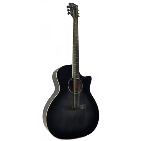 Акустична гітара Toneberg T340-FG