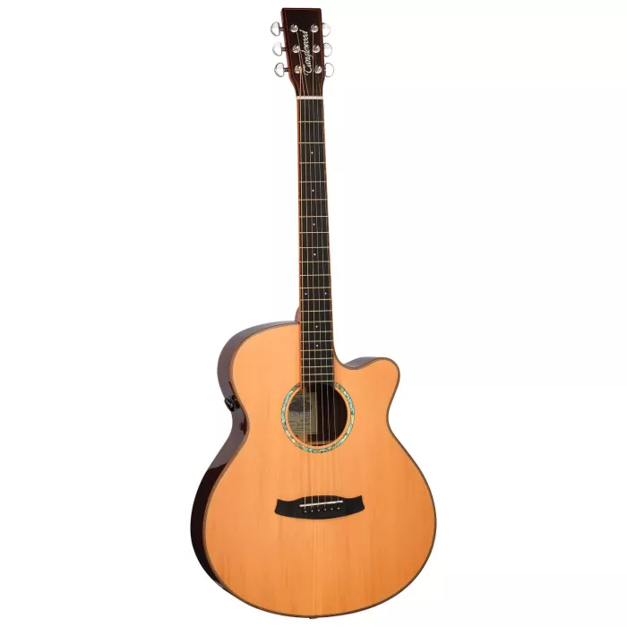 Електроакустична гітара TANGLEWOOD TRS4 CE