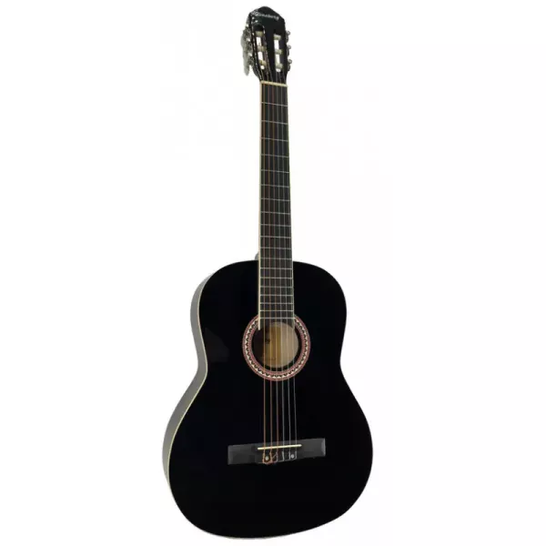 Акустична гітара Toneberg EC3900