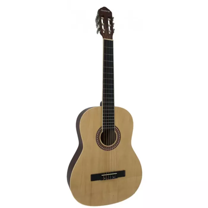 Акустична гітара Toneberg EC3900