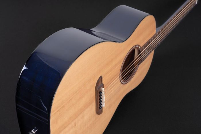 Акустична гітара Washburn WP33SRS