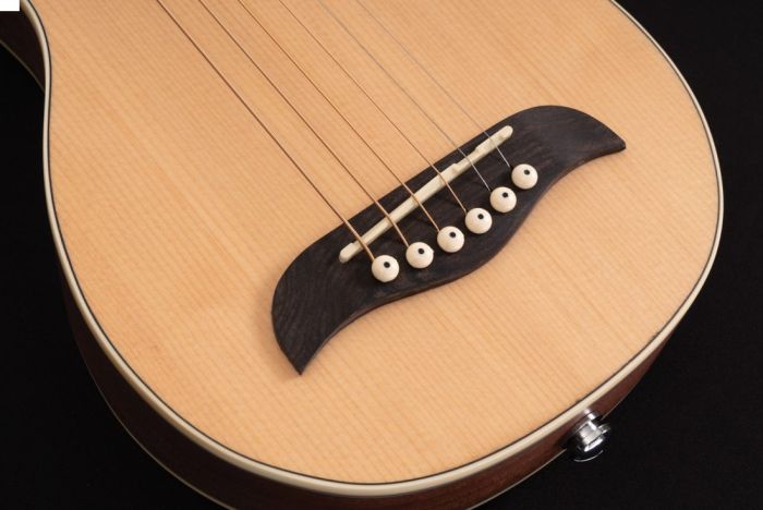 Washburn RO10SK Акустична гітара