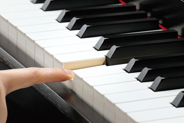 Цифровое пианино Kawai CA98WH