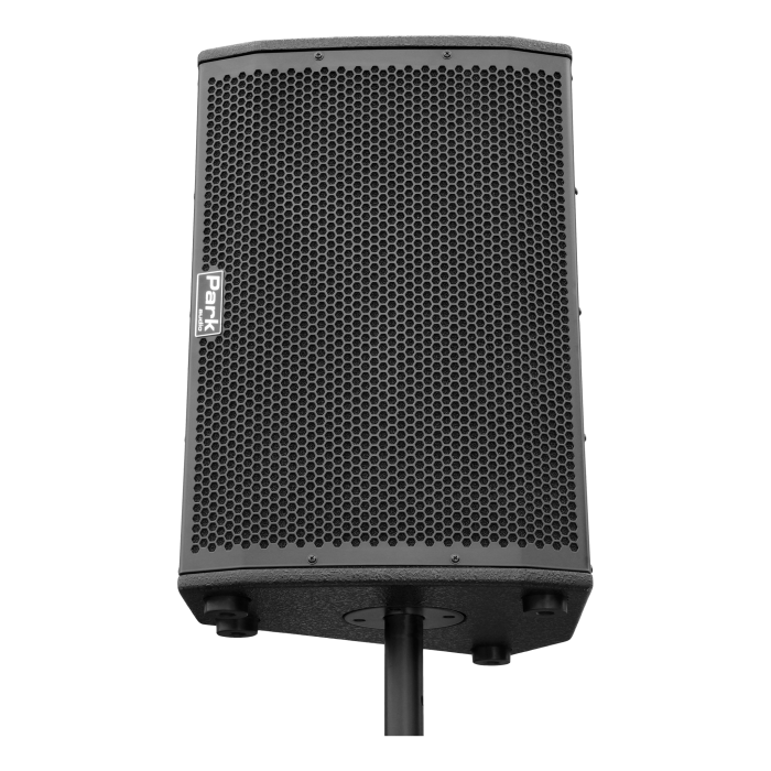 Park Audio DELTA5212 підлоговий монітор