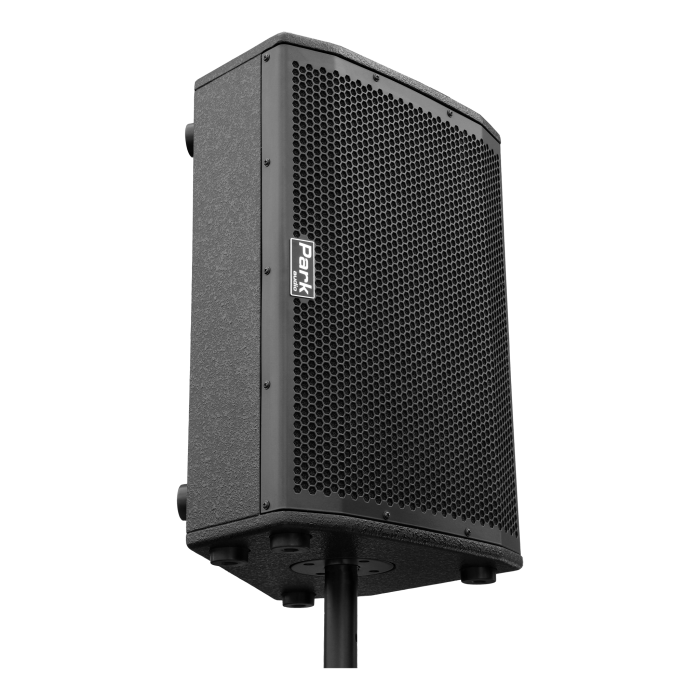 Park Audio DELTA5212-P активний підлоговий монітор