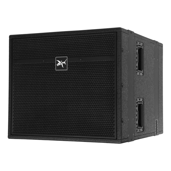 Park Audio TX5122 мідбасовий комплементарний сабвуфер