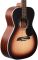 Акустична гітара Alvarez RF26SSBAGP