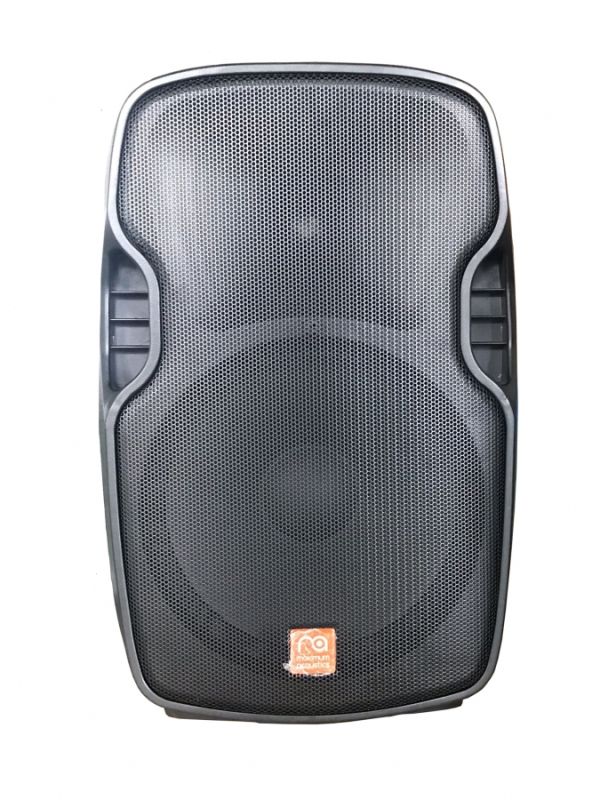 Maximum Acoustics ACTIVE.15MH акустична система з мікрофонами