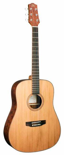 Акустична гітара SX DG35R+