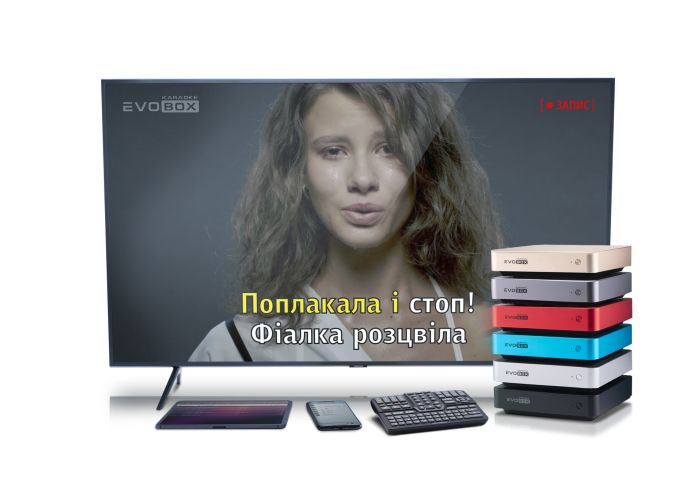 Караоке-система для будинку EVOBOX Plus