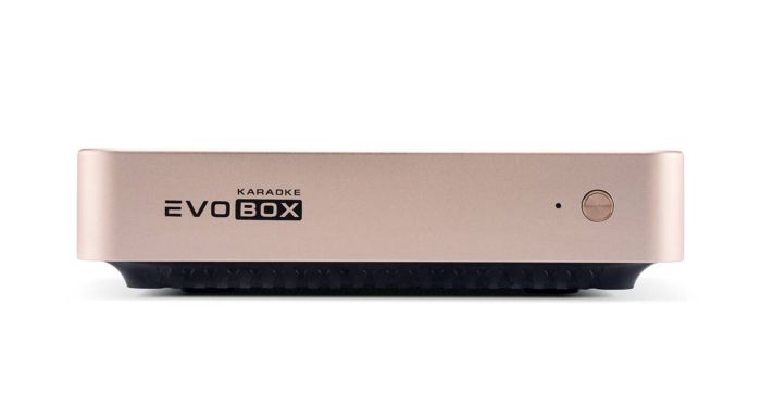Караоке-система для дому EVOBOX