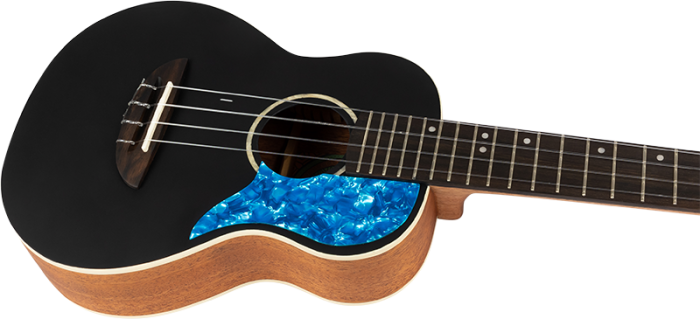 Укулеле Flight IRIS CONCERT BK
