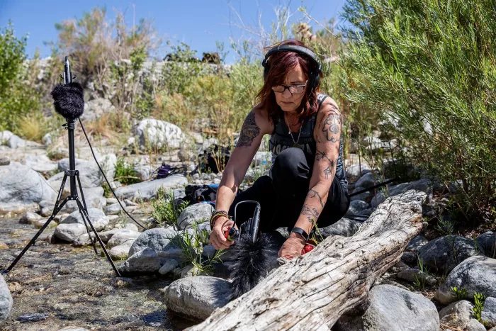 Zoom F8n Pro професійний польовий рекордер (32-біт Float, 8 XLR входів) для кіно та ТБ із точним таймкодом, Bluetooth, 2,4" повнокольоровий РК-дисплей