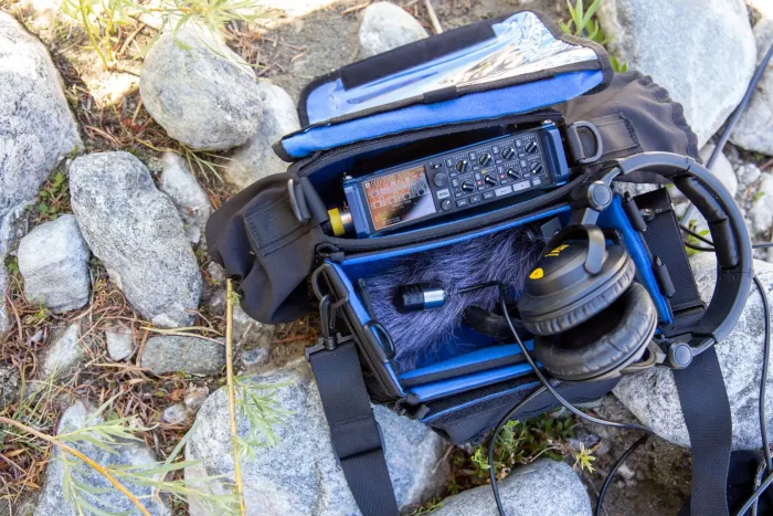 Zoom F8n Pro професійний польовий рекордер (32-біт Float, 8 XLR входів) для кіно та ТБ із точним таймкодом, Bluetooth, 2,4" повнокольоровий РК-дисплей