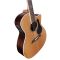Акустична гітара Alvarez AG75WCE