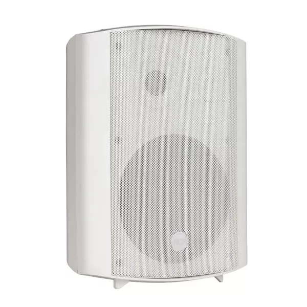 RCF DM61 Трансляційна акустична система