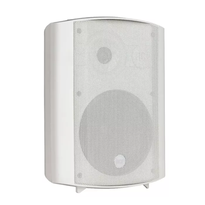 RCF DM61 Трансляционная акустическая система