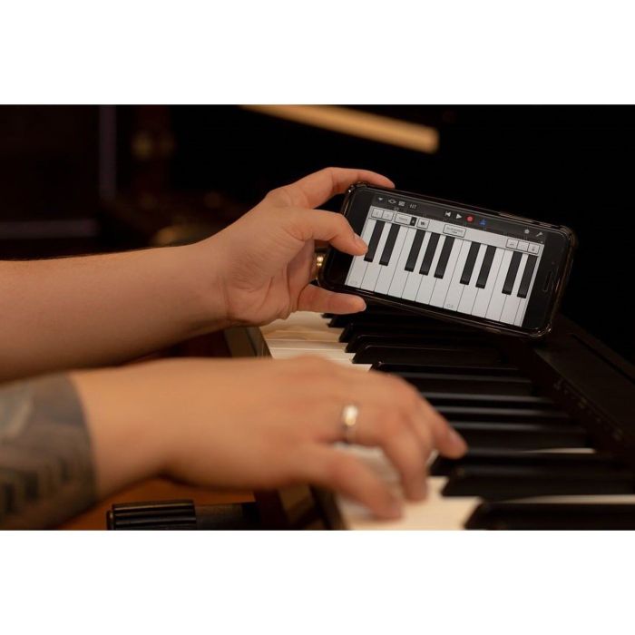 Цифрове піаніно Roland FP10 BK, без стійки
