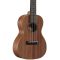 Укулеле Alvarez RU22C
