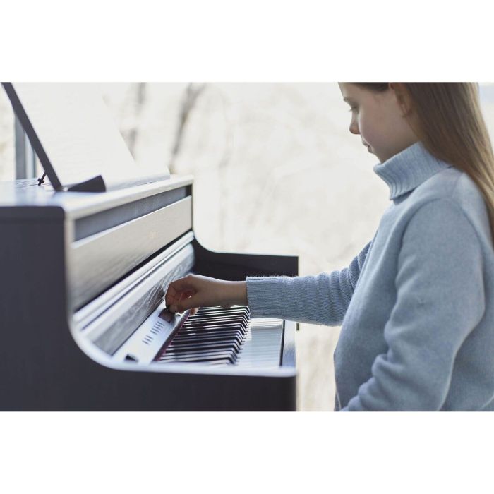Цифровое пианино Roland HP704-CH SET