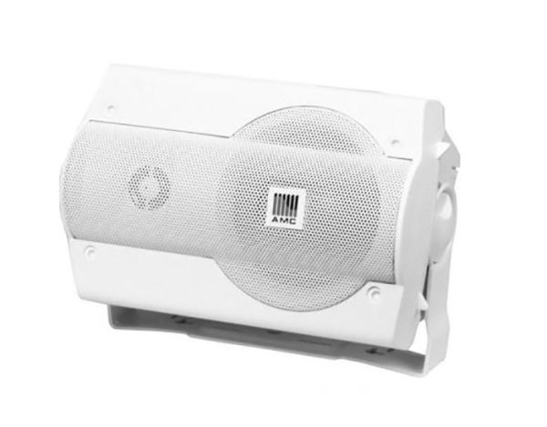 AMC VIVA3 302WT настенная акустическая система